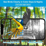 Mangeoire Intelligente 2.5K avec Caméra HD – Solaire, 4G/Wi-Fi, Vision Nocturne, IP66 - Vignette | Ma boutique