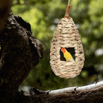 Nichoir Suspendu en Herbe d’Hibiscus - Vignette | Ma boutique