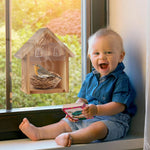 Nichoir Transparent en Bois Massif avec Ventouses – Pour Fenêtre Extérieure - Vignette | Ma boutique