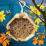 Hôtel à Abeilles en Bois – Refuge Naturel pour Abeilles, Papillons et Guêpes Solitaires - Vignette | Ma boutique