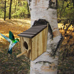 Nichoir Extérieur en Bois avec Aération et Fenêtre d’Observation – Pour Oiseaux Bleus et Petits Oiseaux - Vignette | Ma boutique