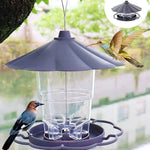 Mangeoire Automatique Suspendue pour Oiseaux - Vignette | Ma boutique