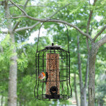 Mangeoire Anti-Écureuils – Cage Suspendue Antirouille - Vignette | Ma boutique
