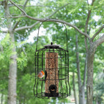 Mangeoire à graines anti-Écureuils – Cage Suspendue Antirouille - Vignette | Le Refuge des oiseaux