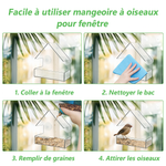 Mangeoire Oiseaux Fenêtre Transparente – Acrylique avec Ventouses - Vignette | Ma boutique