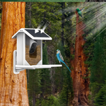 Mangeoire Connectée Intelligente pour Oiseaux – Caméra HD - Vignette | Ma boutique