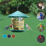 Mangeoire Oiseaux Sauvages Suspendue Transparente r - Vignette | Ma boutique