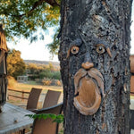 Mangeoire Visage d’Arbre Originale – Décoration Insolite pour Jardin - Vignette | Le Refuge des oiseaux