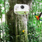 Mangeoire Pour Oiseaux Avec Caméra D'Observation, Ventouse Vidéo, Mangeoire Multifonctionnelle Pour Colibris, Fournitures D'Alimentation Pour Animaux De Compagnie Pour Perruches Conures