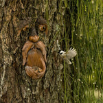 Mangeoire Visage d’Arbre Originale – Décoration Insolite pour Jardin - Vignette | Le Refuge des oiseaux