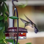 Mangeoire Suspendue Ronde pour Colibris – Abreuvoir à Oiseaux pour Jardin et Balcon - Vignette | Ma boutique