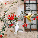 Mangeoire en Acier Inoxydable Haut de Gamme – Durable et Anti-Rouille - Vignette | Le Refuge des oiseaux