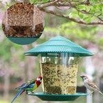 Mangeoire à oiseaux transparente suspendue pour jardin - Vignette | Le Refuge des oiseaux