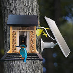 Mangeoire à Oiseaux Connectée avec Caméra HD WiFi - Vignette | Le Refuge des oiseaux