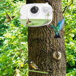 Mangeoire à Oiseaux avec Caméra d’Observation – Ventouse, Grande Capacité, Pour Perruches et Colibris - Vignette | Ma boutique