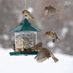 Mangeoire suspendue pour oiseaux sauvages étanche pour jardin - Vignette | Le Refuge des oiseaux