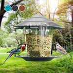 Mangeoire à oiseaux transparente suspendue pour jardin - Vignette | Le Refuge des oiseaux