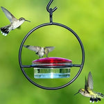 Mangeoire Suspendue Ronde pour Colibris – Abreuvoir à Oiseaux pour Jardin et Balcon - Vignette | Ma boutique