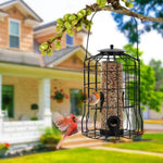 Mangeoire à graines anti-Écureuils – Cage Suspendue Antirouille - Vignette | Le Refuge des oiseaux