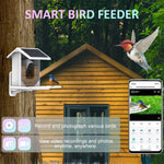 Mangeoire Connectée Intelligente pour Oiseaux – Caméra HD - Vignette | Ma boutique