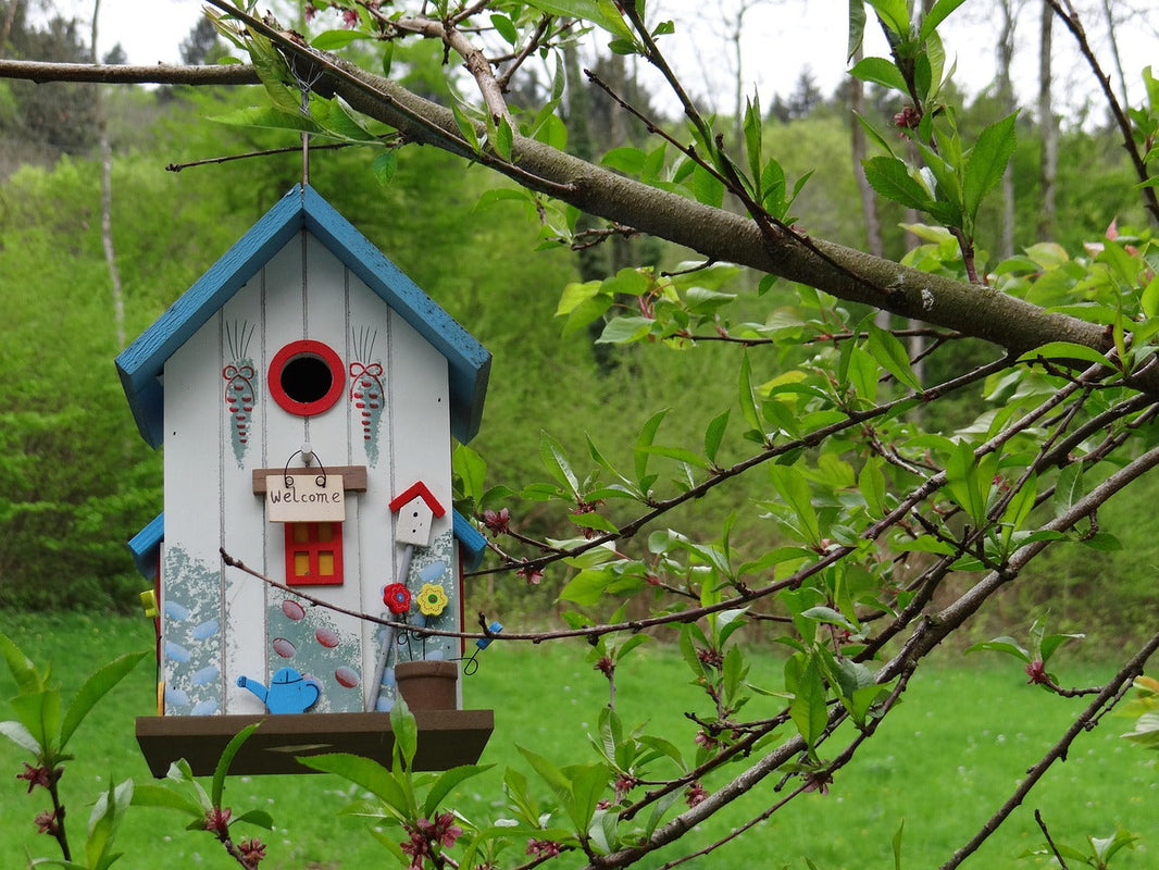 Que mettre dans un nichoir à oiseaux ?