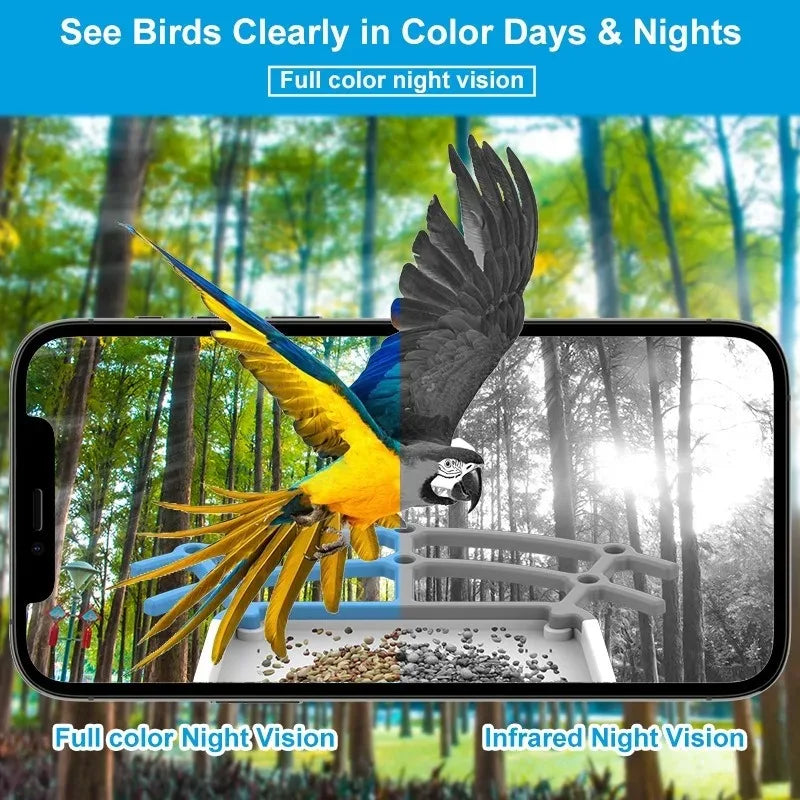 Mangeoire Intelligente Pour Oiseaux Avec Caméra HD 2.5K, Faible Consommation Solaire, Vision Nocturne, Étanche IP66, 4G Ou WIFI, Allergique, Mangeoire Pour Espèces D'Oiseaux Réels