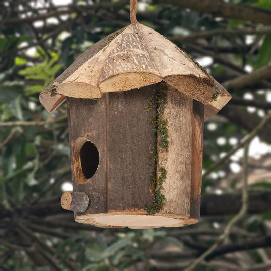 Niche Colibri En Bois Pour La Maison, Lieu Dominant, Décor D'Oiseaux, Mini Maison Décroissante À La Main