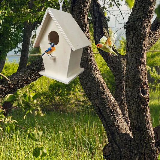 Maison À Oiseaux En Bois, Montage Mural Pour Petits Oiseaux, Joli Nid D'Oiseau Conçu Avec Des Perchoirs, Solide, Résistant Aux Intempéries