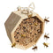 Hôtel D'Abeilles En Bois, Ruche D'Abeilles, Palais Pollinant, Maison De Papillon, Habitat De Guêpes Pour Jardin, Balcon, Arrière-Cour, Patio Extérieur