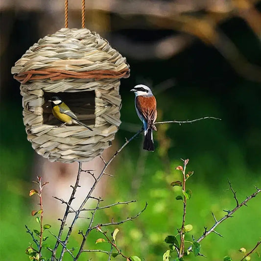 Nid D'Herbe Tissé À La Main, Gourde D'Herbe D'Hibiscus, Maison D'Oiseaux Pour Jardin Extérieur Suspendu À Couver, Accessoire D'Élevage D'Oiseaux Z8B3