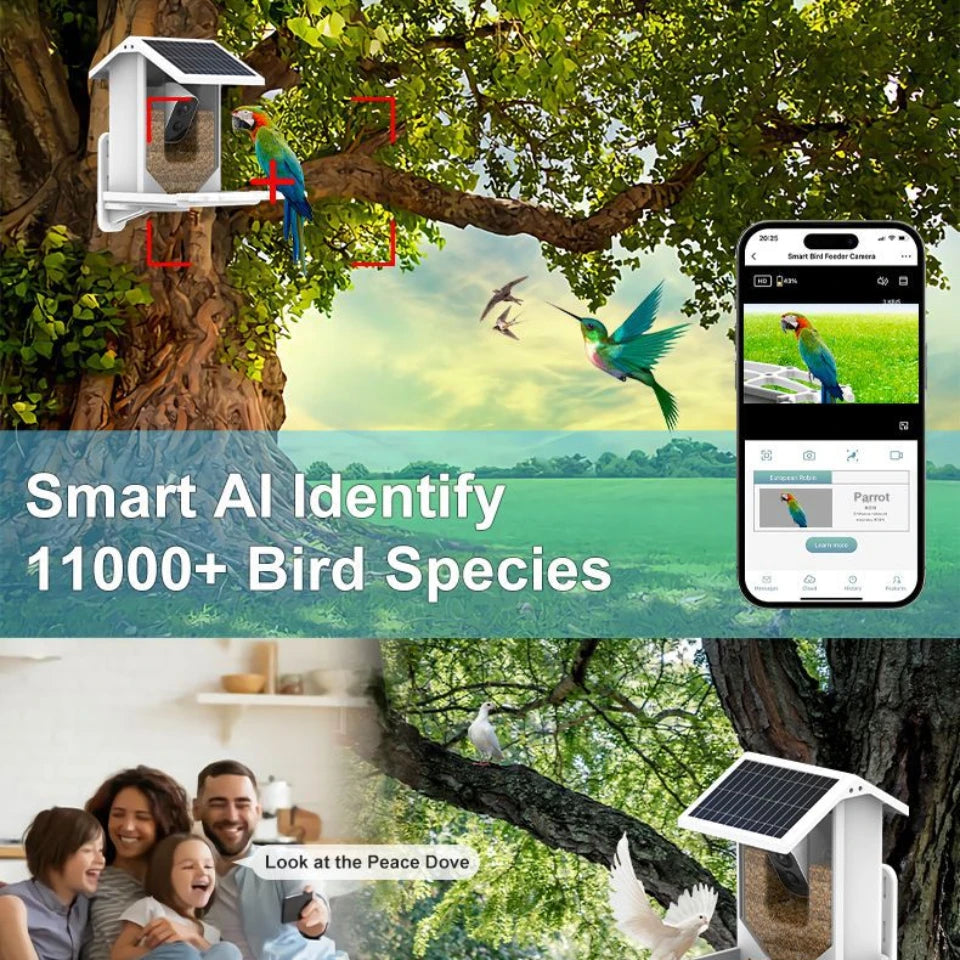 SMART BIRD FEEDER, Enregistrer Et Photographier Divers Oiseaux, Voir Des Enregistrements Vidéo Et Des Photos À Tout Moment, Partout, Charge Solaire