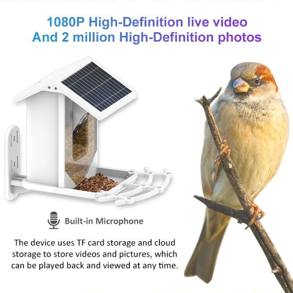 SMART BIRD FEEDER, Enregistrer Et Photographier Divers Oiseaux, Voir Des Enregistrements Vidéo Et Des Photos À Tout Moment, Partout, Charge Solaire