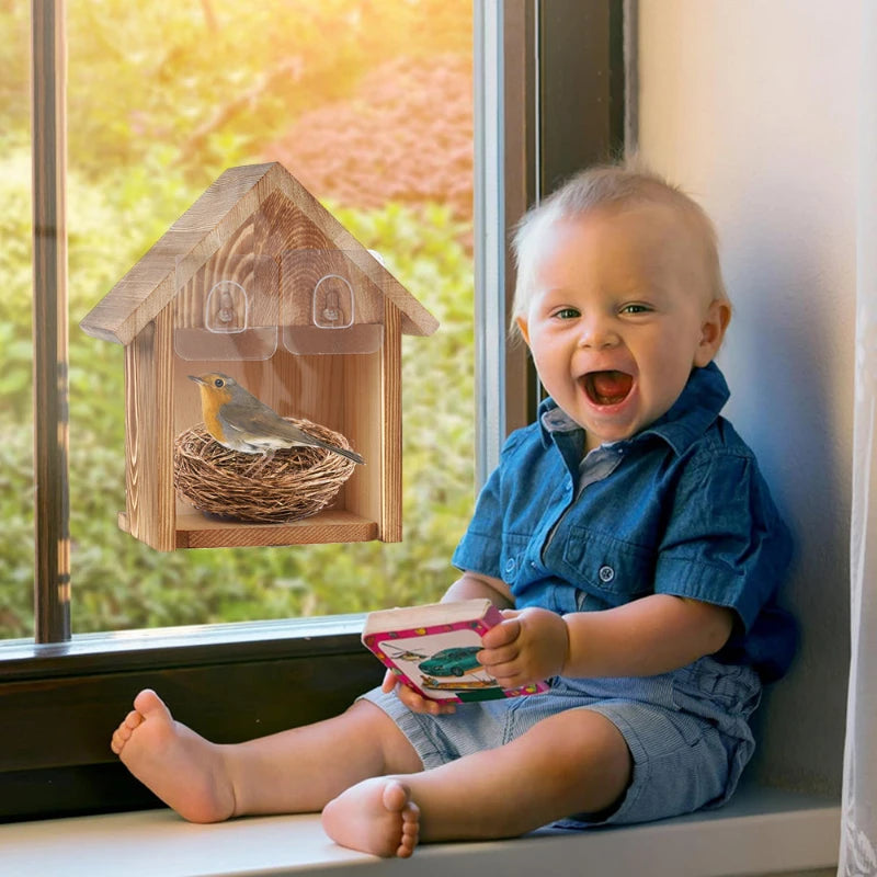 Fenêtre Transparente Extérieure Casse À Oiseaux Ventouse Maison À Oiseaux En Bois Nid D'Oiseau Nid D'Oiseau Maison À Oiseaux Nid D'Oiseau En Bois Massif