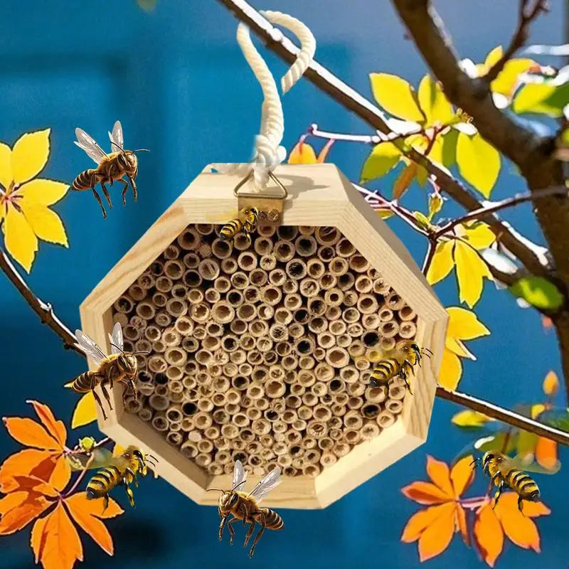 Hôtel D'Abeilles En Bois, Ruche D'Abeilles, Palais Pollinant, Maison De Papillon, Habitat De Guêpes Pour Jardin, Balcon, Arrière-Cour, Patio Extérieur