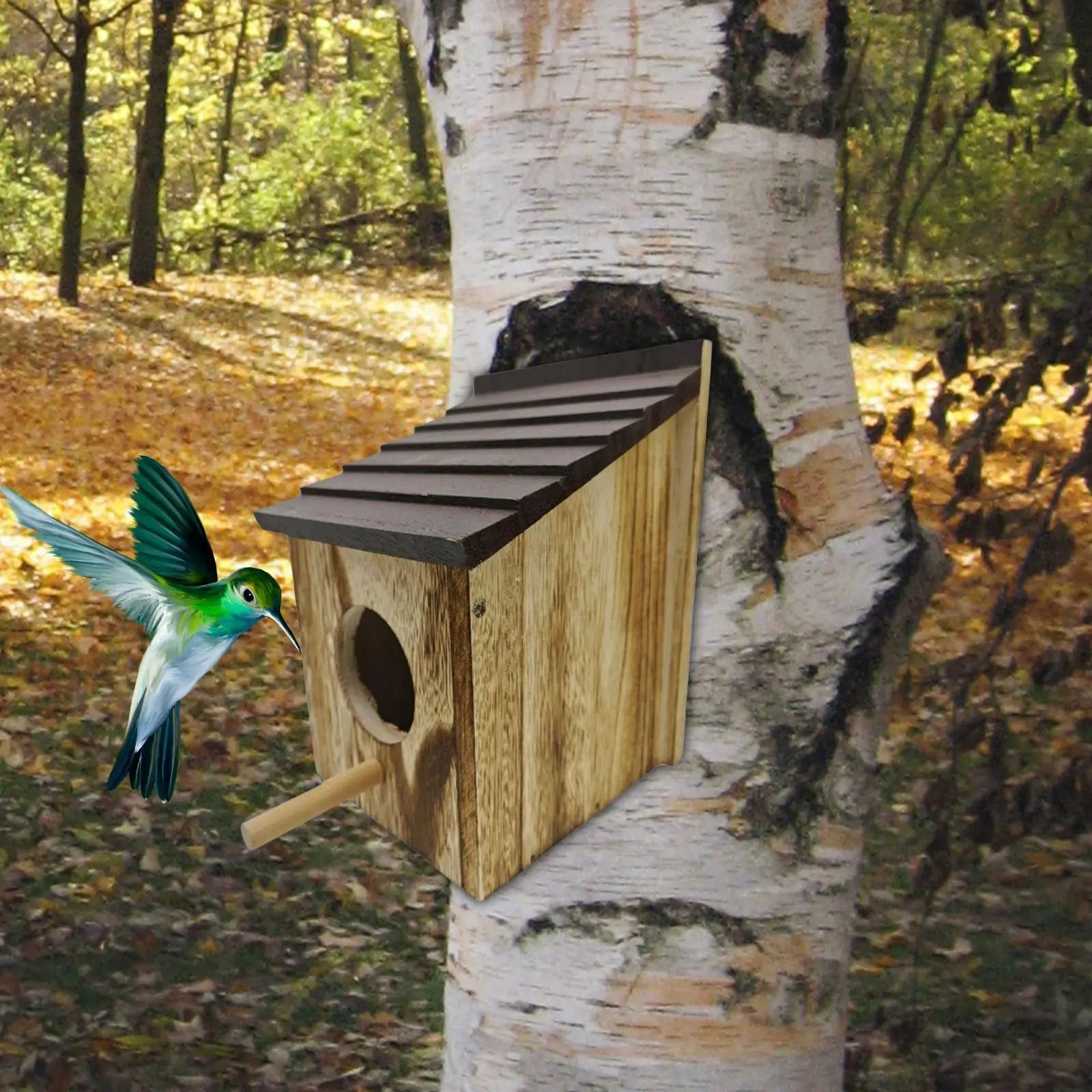 Maison À Oiseaux Pour L'Extérieur, Observation Facile, Avec Évents D'Air, Boîte De Nidification Pour Oiseaux En Plein Air, Pour L'Élagage Des Graisses, Des Graisses, Des Oiseaux Bleus