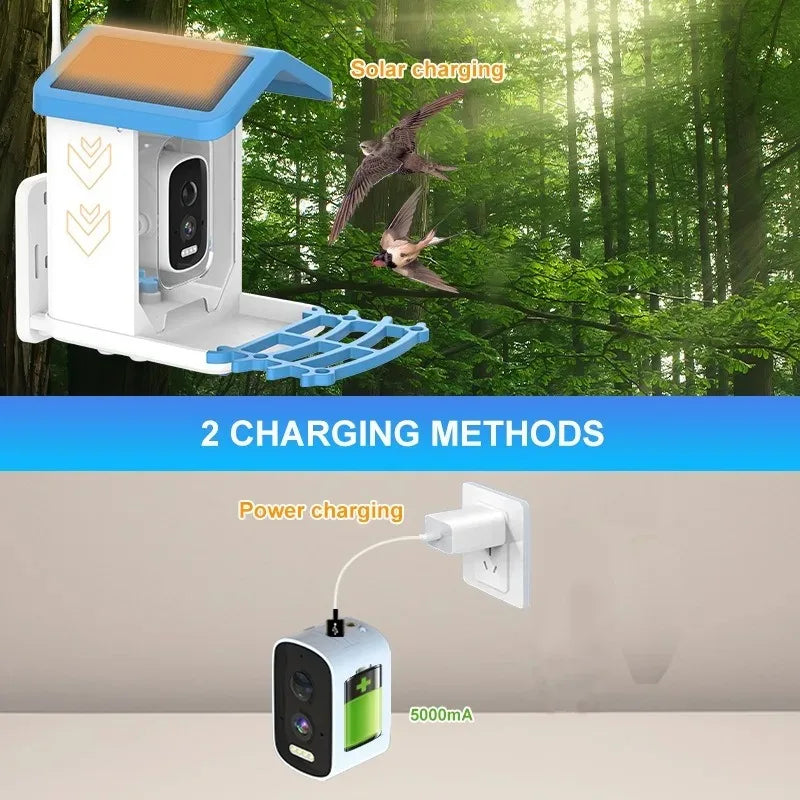 Mangeoire Intelligente Pour Oiseaux Avec Caméra HD 2.5K, Faible Consommation Solaire, Vision Nocturne, Étanche IP66, 4G Ou WIFI, Allergique, Mangeoire Pour Espèces D'Oiseaux Réels