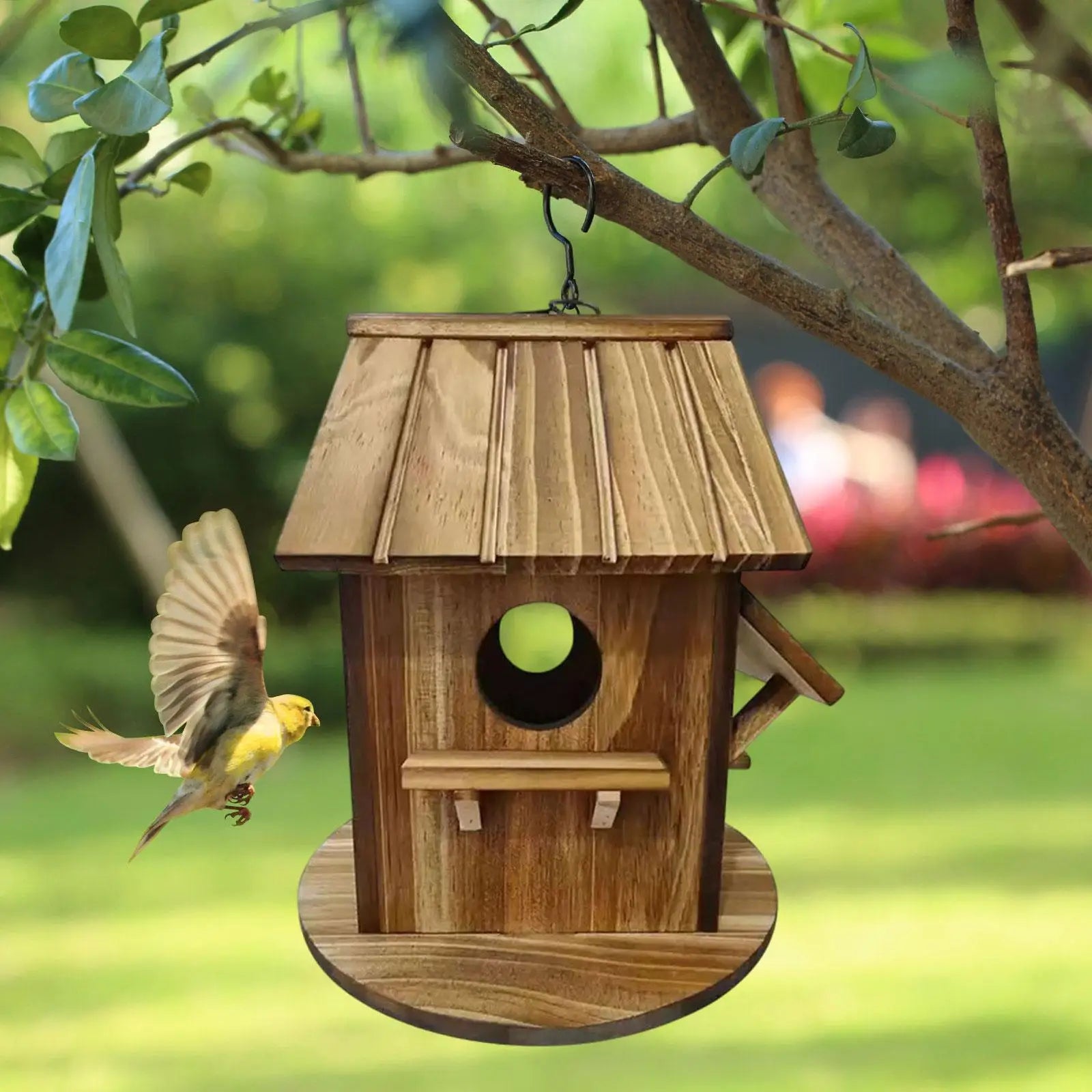 Maison À Oiseaux En Bois, Artisanat Créatif, Boîte De Nidification, Boîte D'Élevage D'Oiseaux Suspendue Pour Jardin, Arrière-Cour, Perroquets, Pins, Colibris
