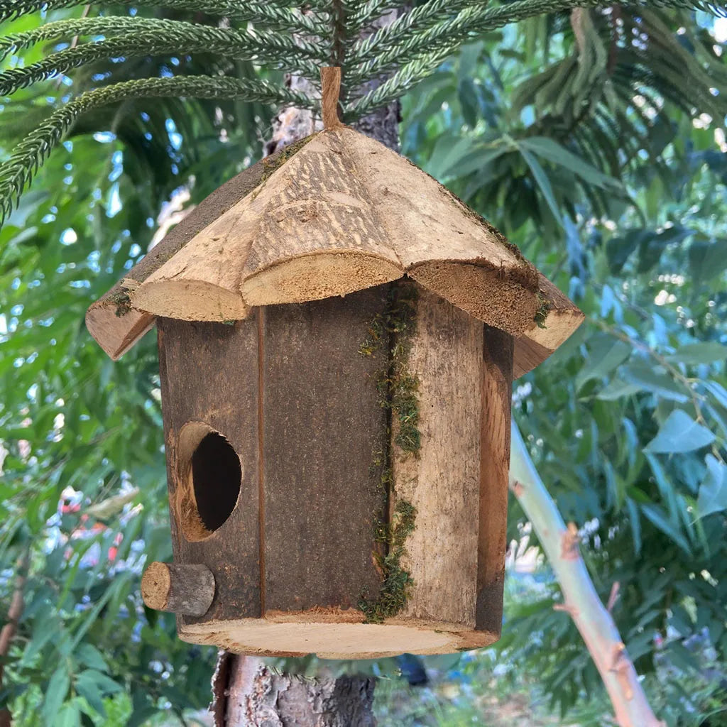 Niche Colibri En Bois Pour La Maison, Lieu Dominant, Décor D'Oiseaux, Mini Maison Décroissante À La Main