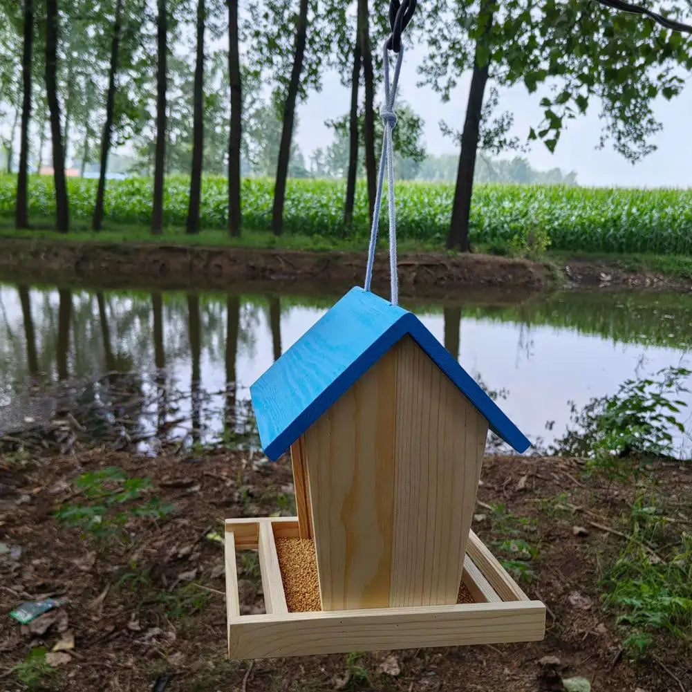 Mangeoire À Oiseaux En Bois, Mangeoires À Trémie, Mangeoire À Oiseaux Sauvages En Plein Air, Grande Mangeoire À Oiseaux Face, Pinsons Cardinaux, Jencibleus