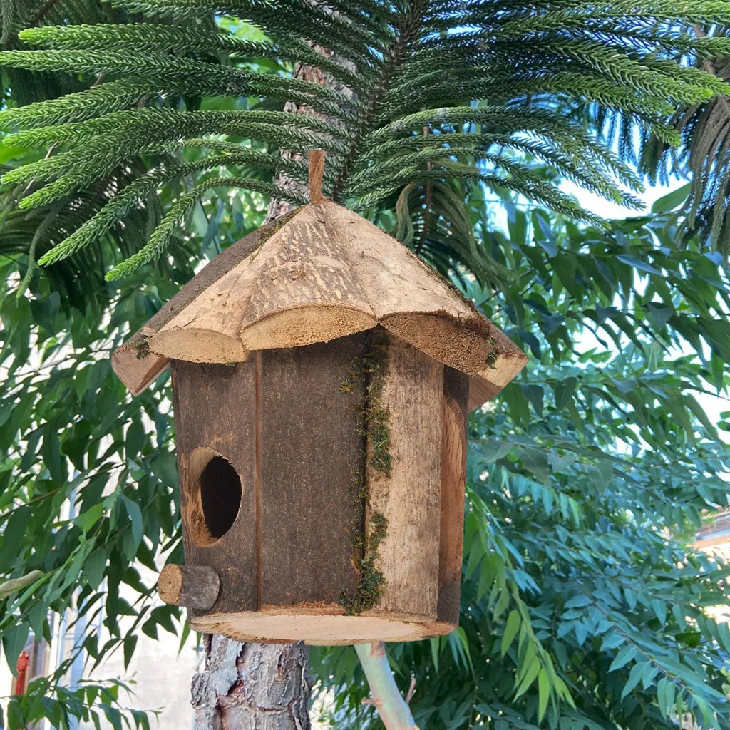 Niche Colibri En Bois Pour La Maison, Lieu Dominant, Décor D'Oiseaux, Mini Maison Décroissante À La Main