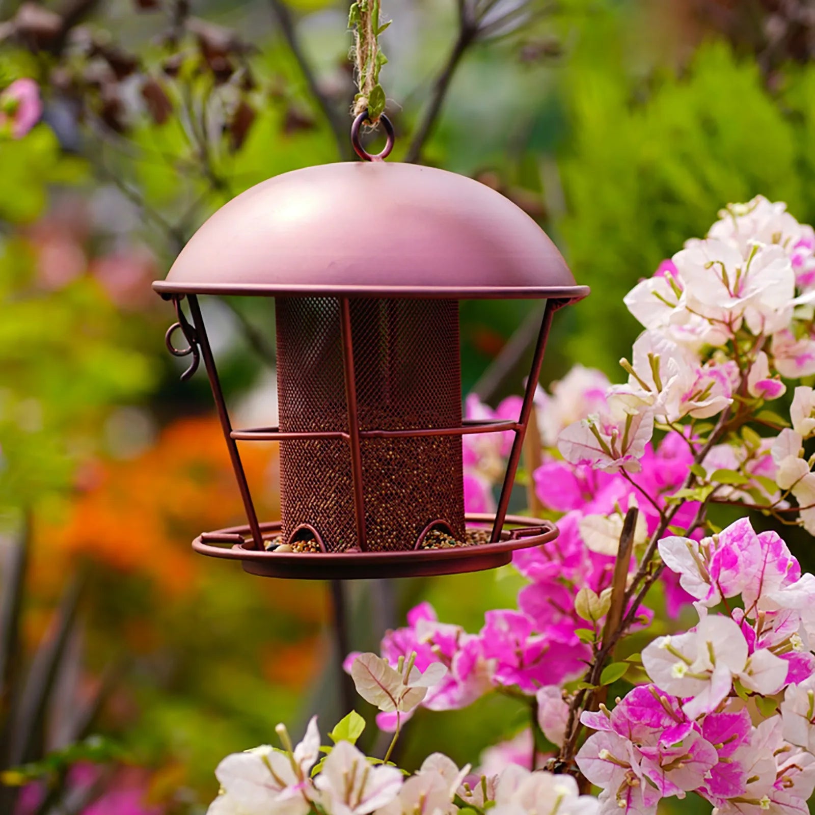 Mangeoire À Oiseaux En Forme De Dôme En Métal Pour L'Extérieur, Décoration De Jardin Suspendue En Fer Forgé, Fournitures Quotidiennes Imperméables Et Antirouille Pour Oiseaux Sauvages