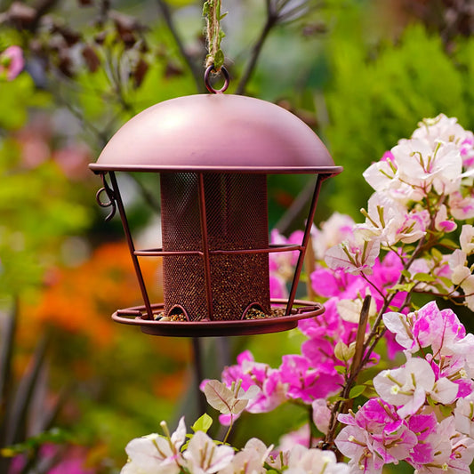 Mangeoire À Oiseaux En Forme De Dôme En Métal Pour L'Extérieur, Décoration De Jardin Suspendue En Fer Forgé, Fournitures Quotidiennes Imperméables Et Antirouille Pour Oiseaux Sauvages