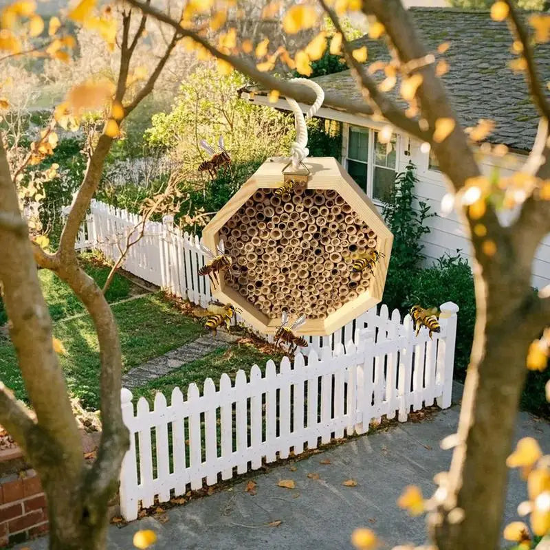 Hôtel D'Abeilles En Bois, Ruche D'Abeilles, Palais Pollinant, Maison De Papillon, Habitat De Guêpes Pour Jardin, Balcon, Arrière-Cour, Patio Extérieur