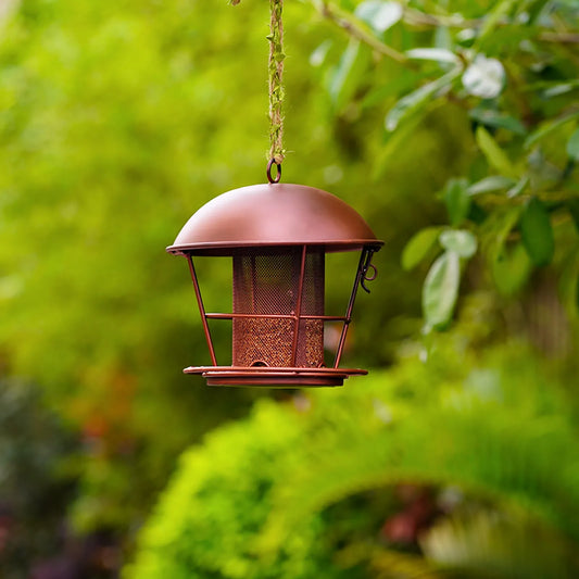 Mangeoire À Oiseaux En Forme De Dôme En Métal Pour L'Extérieur, Décoration De Jardin Suspendue En Fer Forgé, Fournitures Quotidiennes Imperméables Et Antirouille Pour Oiseaux Sauvages