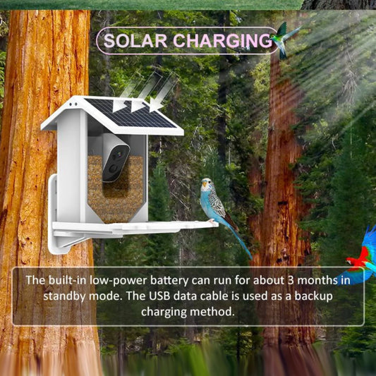 SMART BIRD FEEDER, Enregistrer Et Photographier Divers Oiseaux, Voir Des Enregistrements Vidéo Et Des Photos À Tout Moment, Partout, Charge Solaire