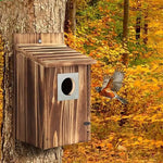 Maison à Oiseaux en Bois avec Mangeoire – Facile à Nettoyer et à Suspendre - Vignette | Ma boutique