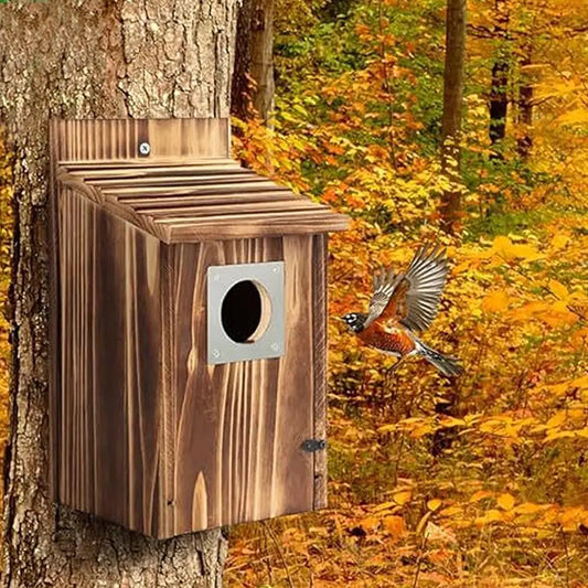 Une Maison À Oiseaux En Bois Facile À Nettoyer Et À Remplir: La Porte D'Entrée De La Maison À Oiseaux En Bois Peut Être Ouverte Pour Un Nettoyage Facile De Resi T6U8