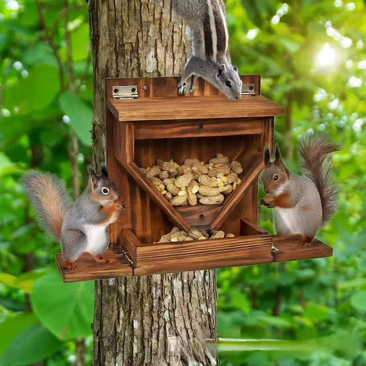 Squirrel Feeder Easy Installation for Corn Peanuts for Outdoor Picnic Yard