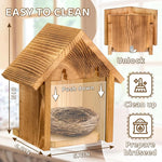Nichoir Transparent en Bois Massif avec Ventouses – Pour Fenêtre Extérieure - Vignette | Ma boutique