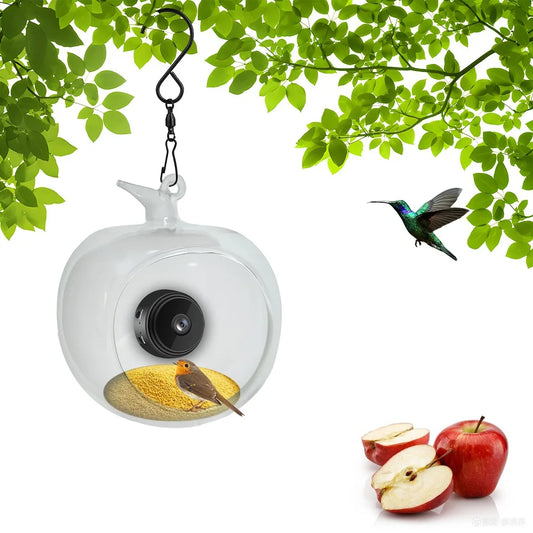 Mangeoire Pour Oiseaux Intelligente Avec Caméra, Microphone Intégré, Capture Automatique, Colibri Wifi